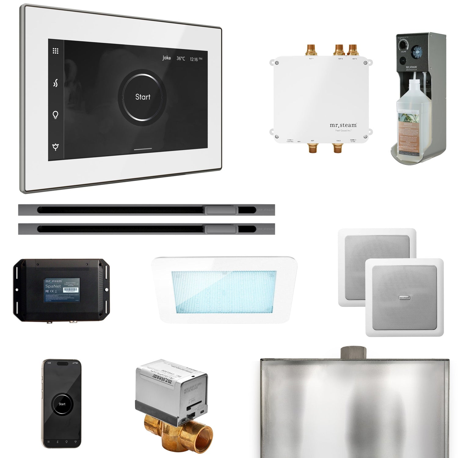 Mr. Steam Bliss Max Steam Shower Control Package with iSteamX Control and Linear Steamhead