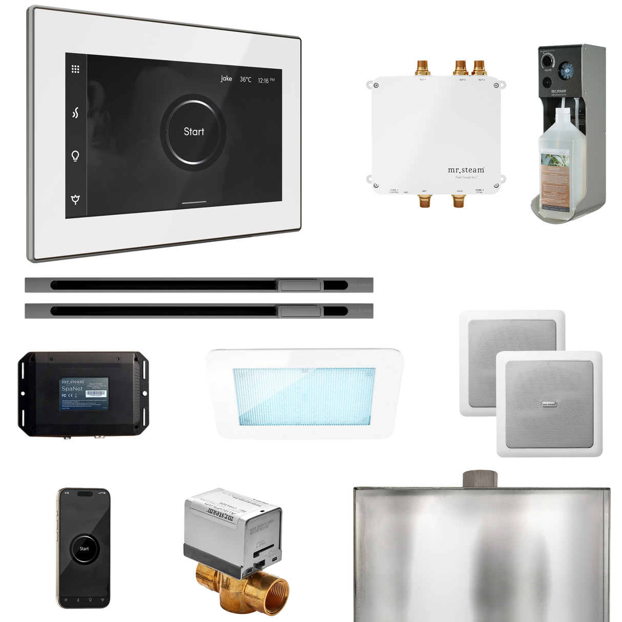 Mr. Steam Bliss Max Steam Shower Control Package with iSteamX Control and Linear Steamhead