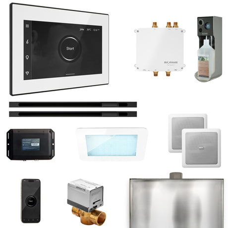 Mr. Steam Bliss Max Steam Shower Control Package with iSteamX Control and Linear Steamhead