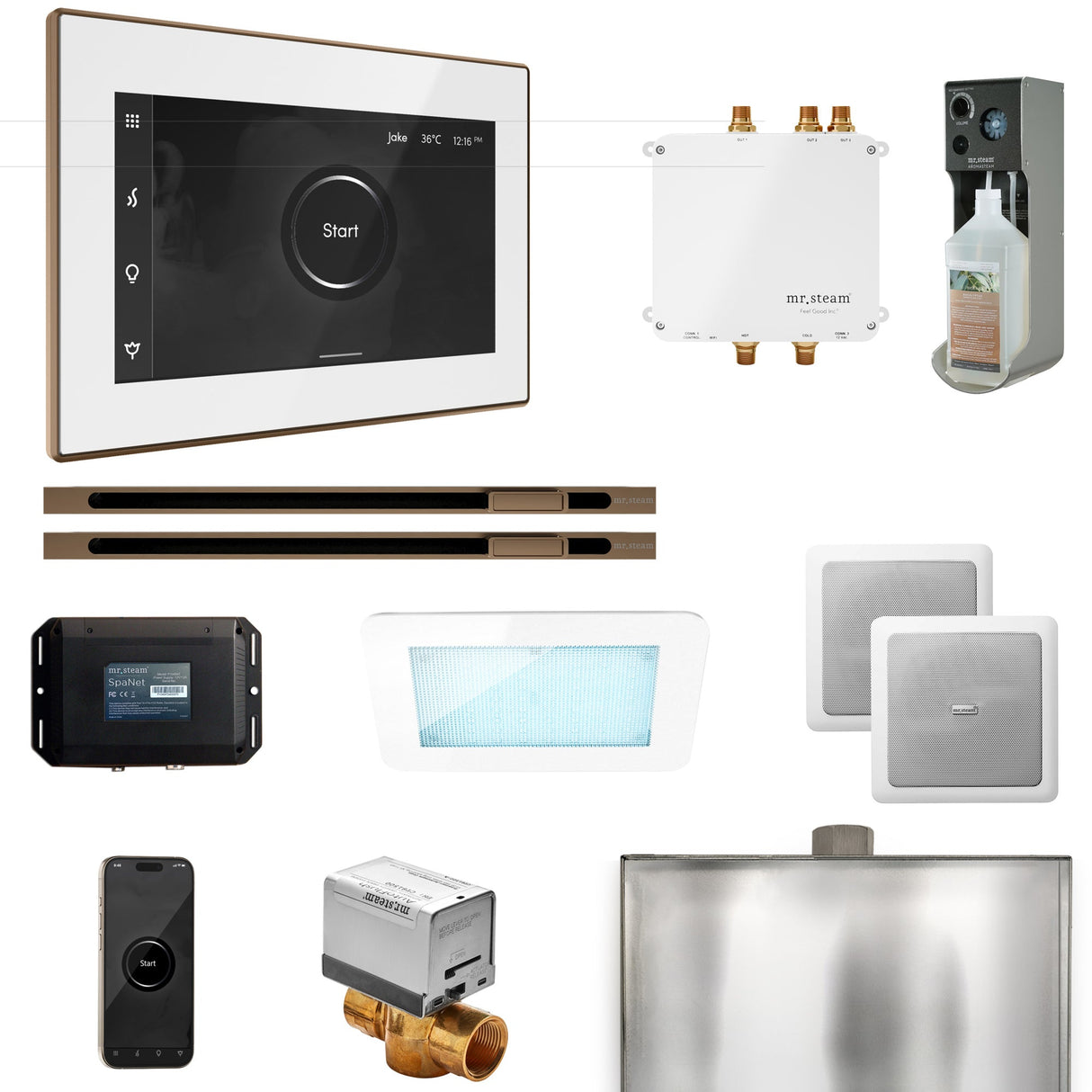 Mr. Steam Bliss Max Steam Shower Control Package with iSteamX Control and Linear Steamhead
