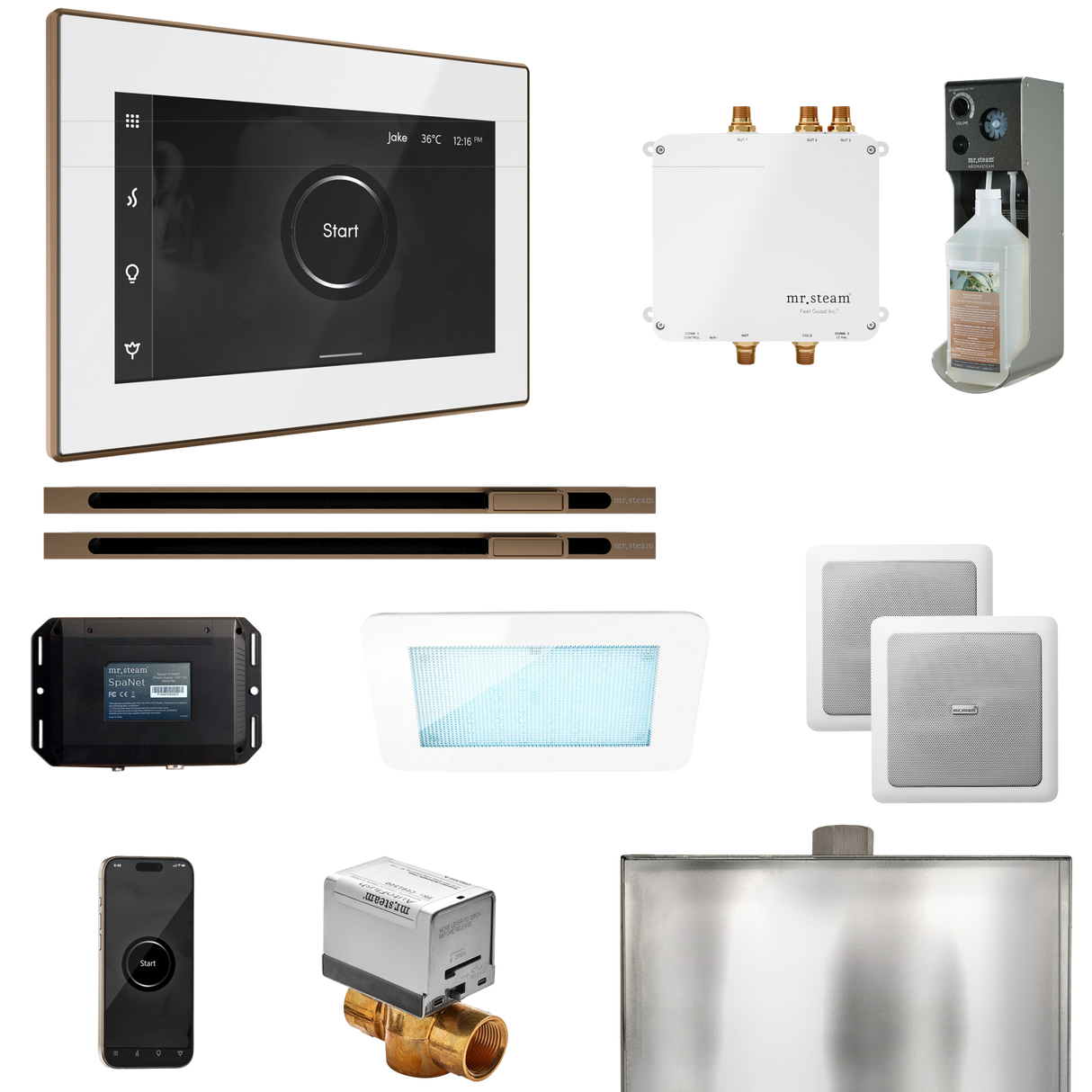 Mr. Steam Bliss Max Steam Shower Control Package with iSteamX Control and Linear Steamhead