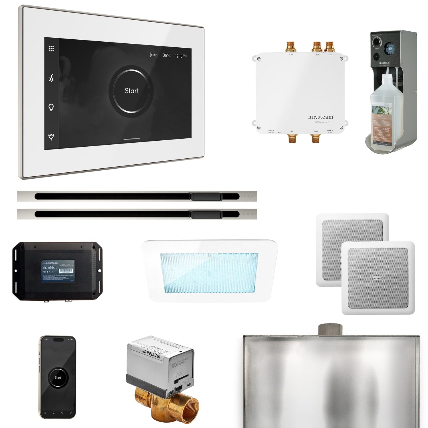 Mr. Steam Bliss Max Steam Shower Control Package with iSteamX Control and Linear Steamhead