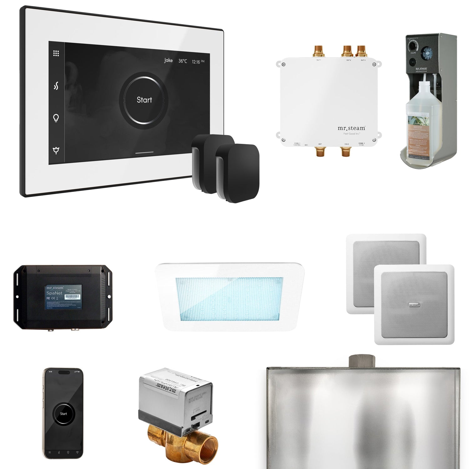 Mr. Steam Bliss Max Steam Shower Control Package with iSteamX Control and Steamhead
