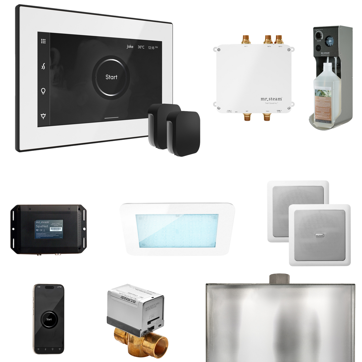 Mr. Steam Bliss Max Steam Shower Control Package with iSteamX Control and Steamhead