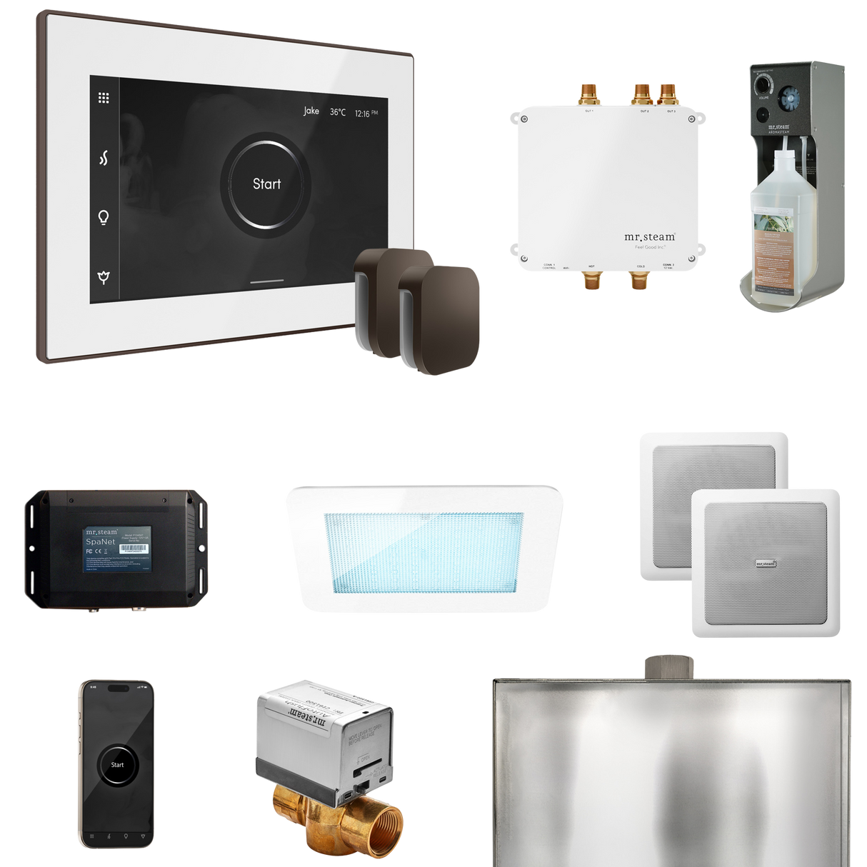 Mr. Steam Bliss Max Steam Shower Control Package with iSteamX Control and Steamhead