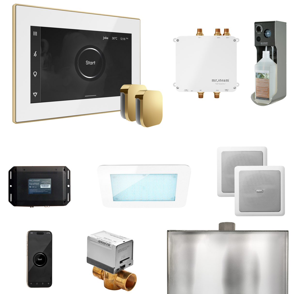 Mr. Steam Bliss Max Steam Shower Control Package with iSteamX Control and Steamhead