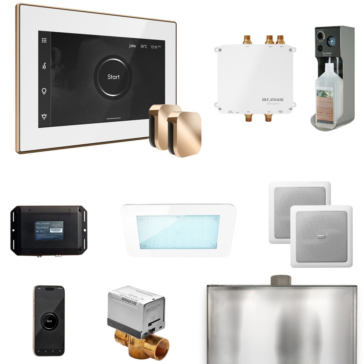 Mr. Steam Bliss Max Steam Shower Control Package with iSteamX Control and Steamhead