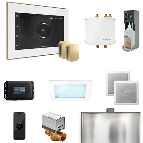Mr. Steam Bliss Max Steam Shower Control Package with iSteamX Control and Steamhead