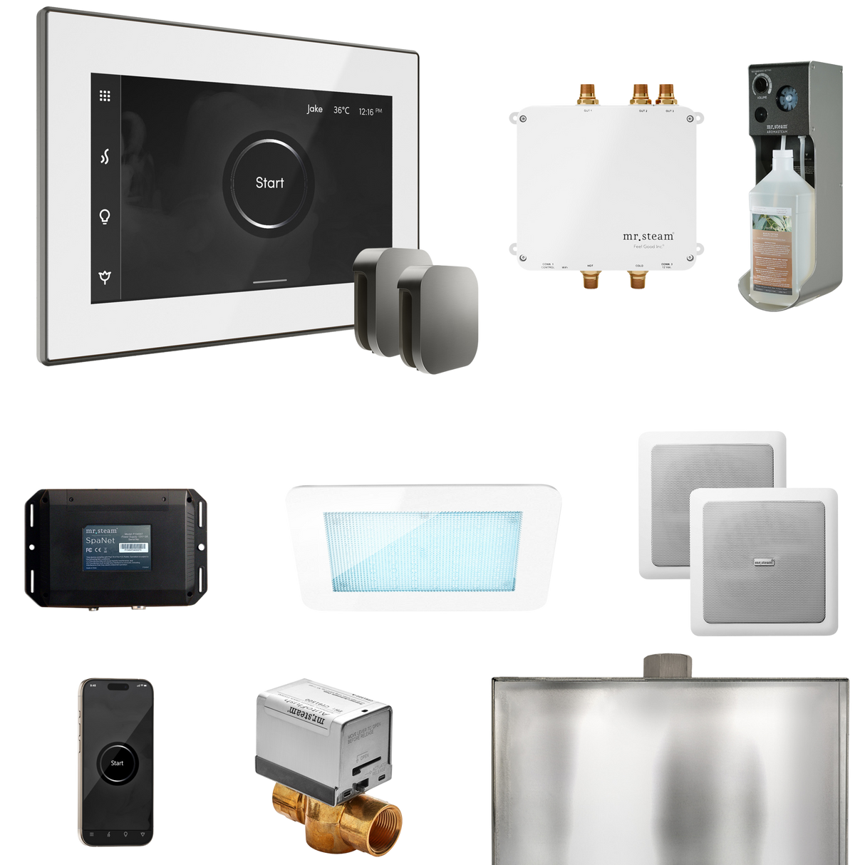 Mr. Steam Bliss Max Steam Shower Control Package with iSteamX Control and Steamhead