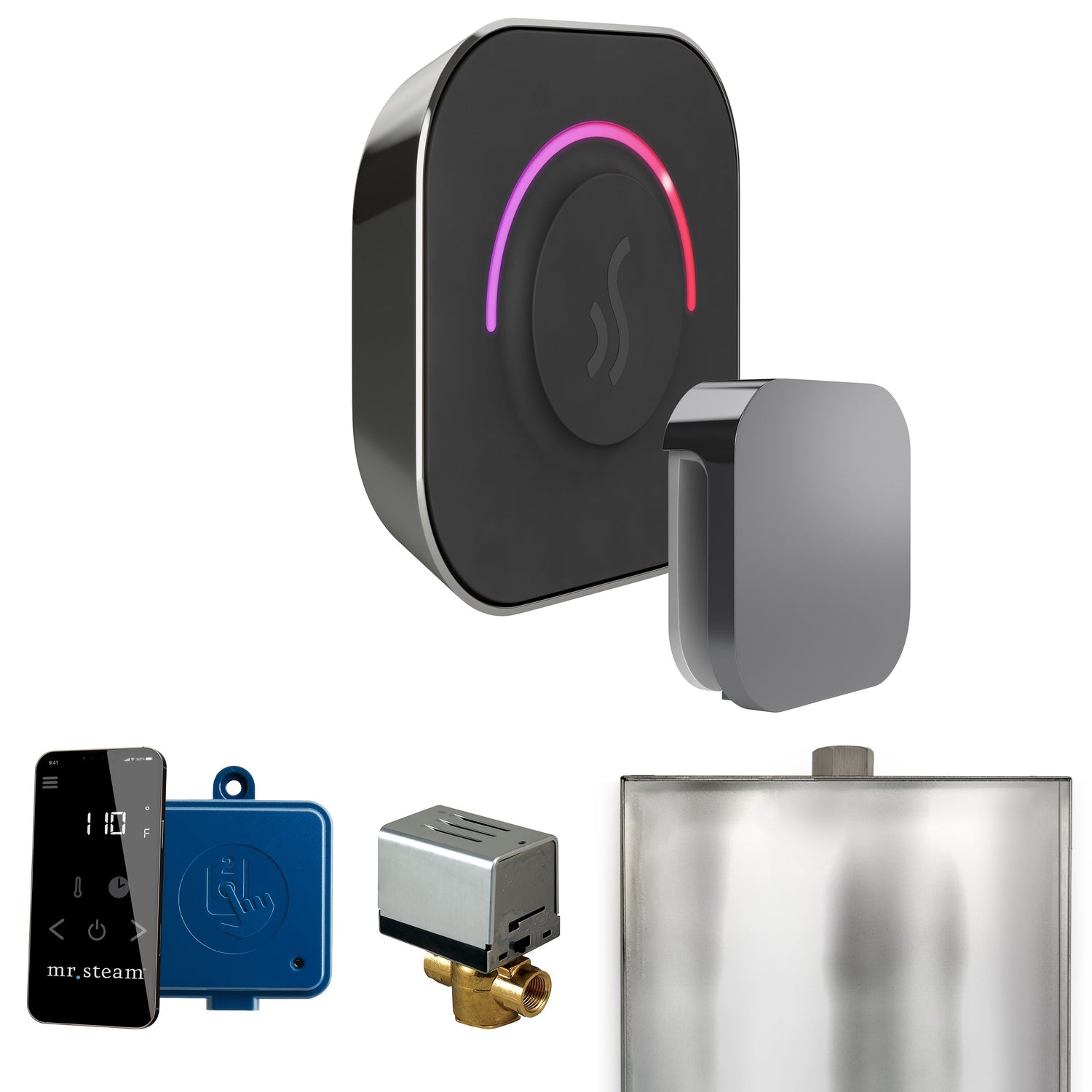 Mr. Steam ButlerTouch Steam Shower Control Package with TempoTouch Control and Steamhead