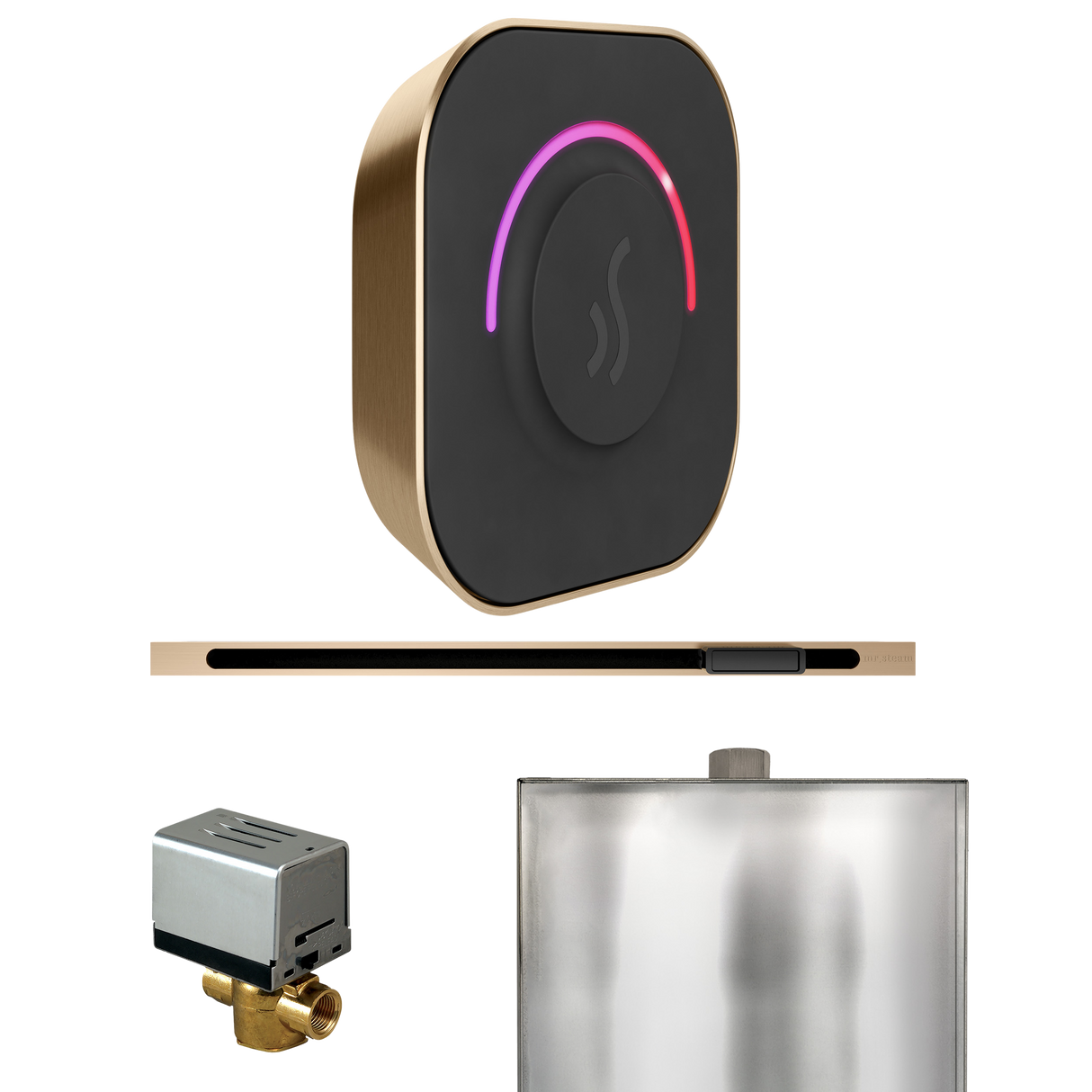 Mr. Steam ButlerTouch Steam Shower Control Package with TempoTouch Control and Linear Steamhead