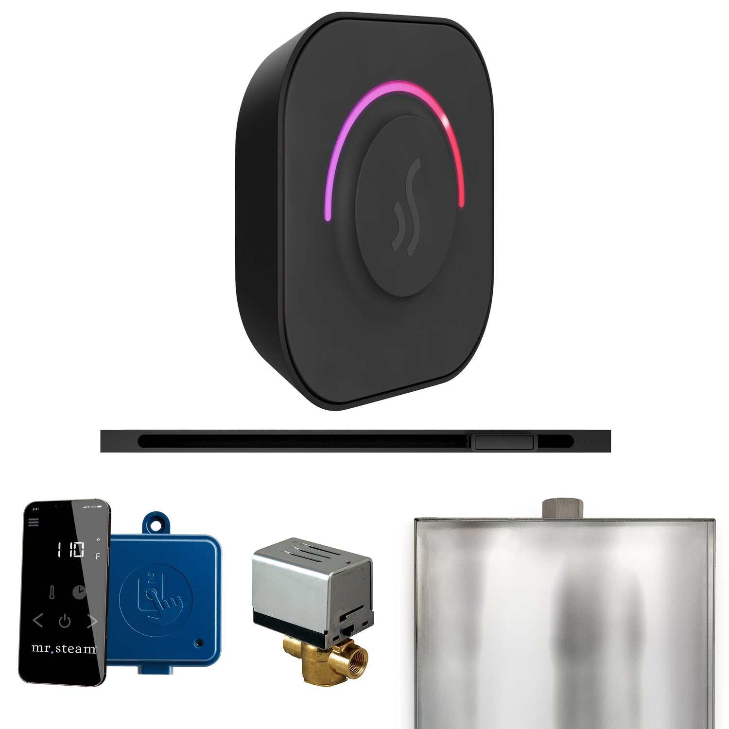 Mr. Steam ButlerTouch Steam Shower Control Package with TempoTouch Control and Linear Steamhead