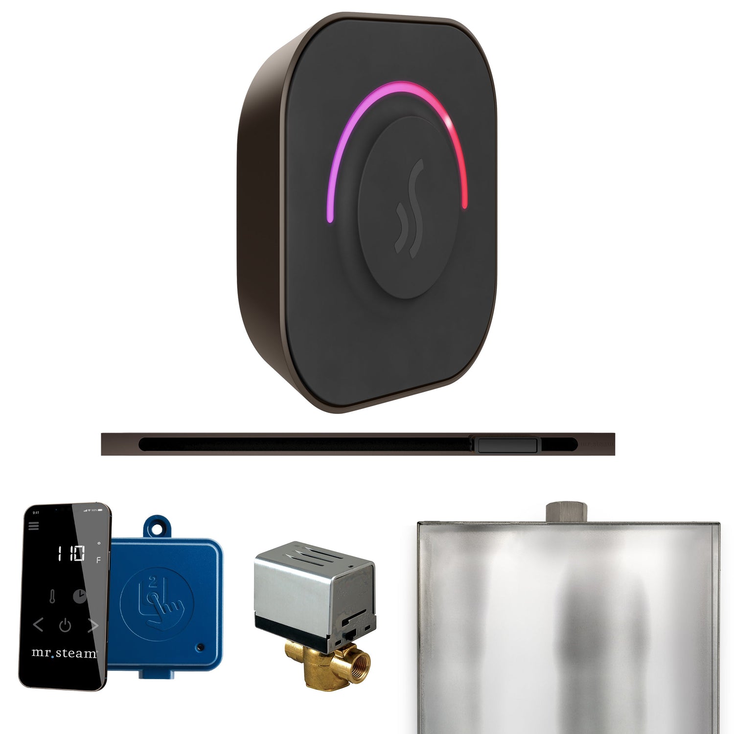 Mr. Steam ButlerTouch Steam Shower Control Package with TempoTouch Control and Linear Steamhead