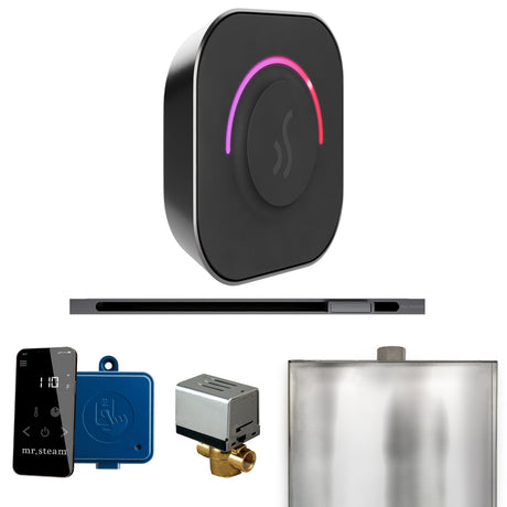 Mr. Steam ButlerTouch Steam Shower Control Package with TempoTouch Control and Linear Steamhead