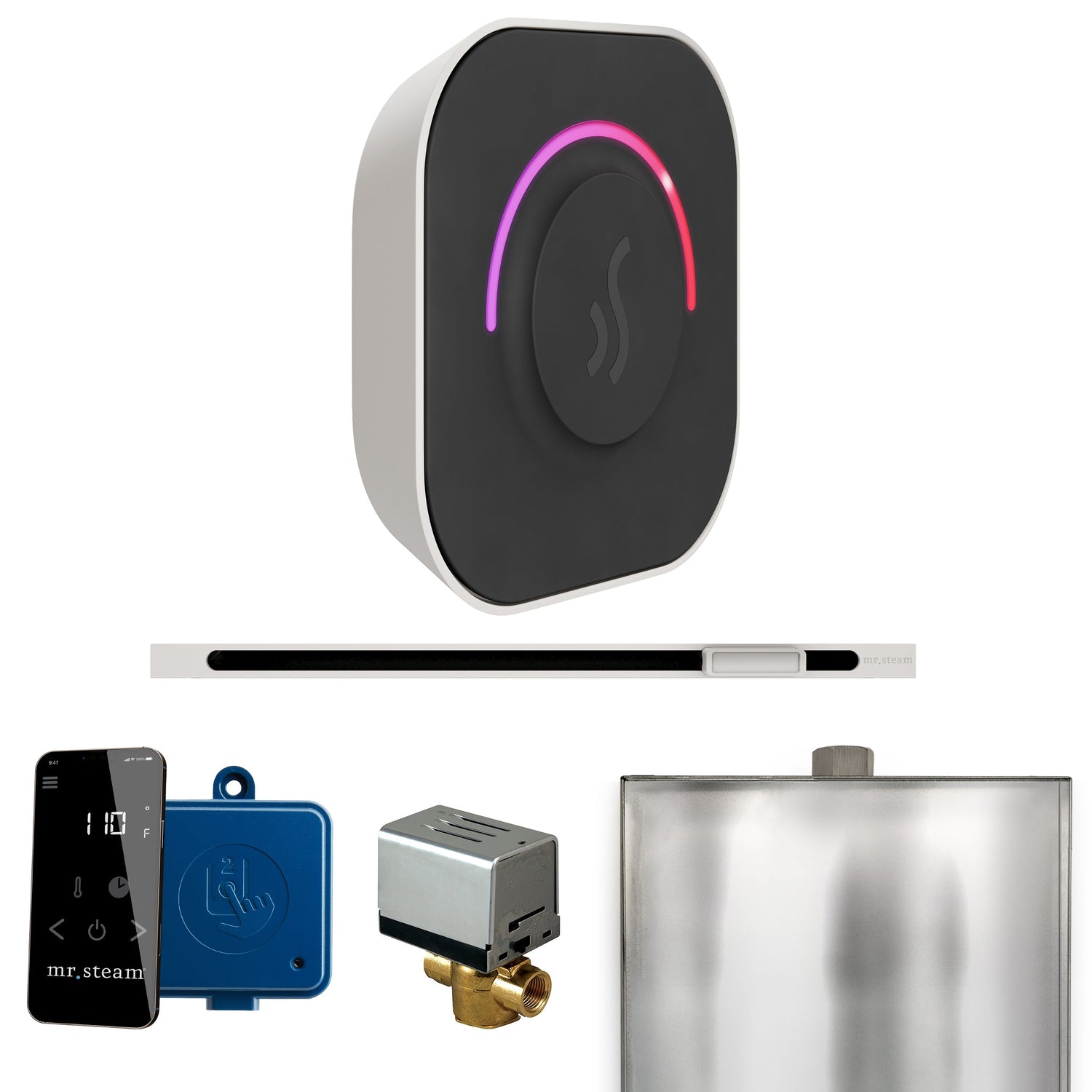 Mr. Steam ButlerTouch Steam Shower Control Package with TempoTouch Control and Linear Steamhead
