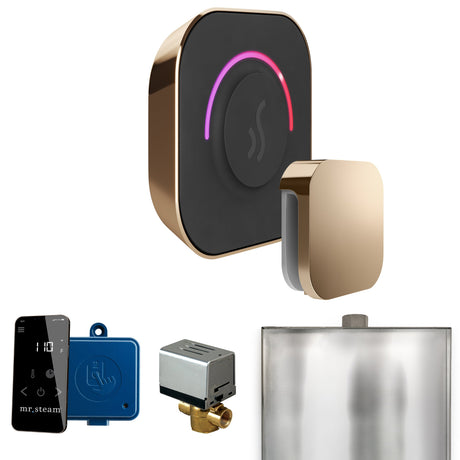 Mr. Steam ButlerTouch Steam Shower Control Package with TempoTouch Control and Steamhead