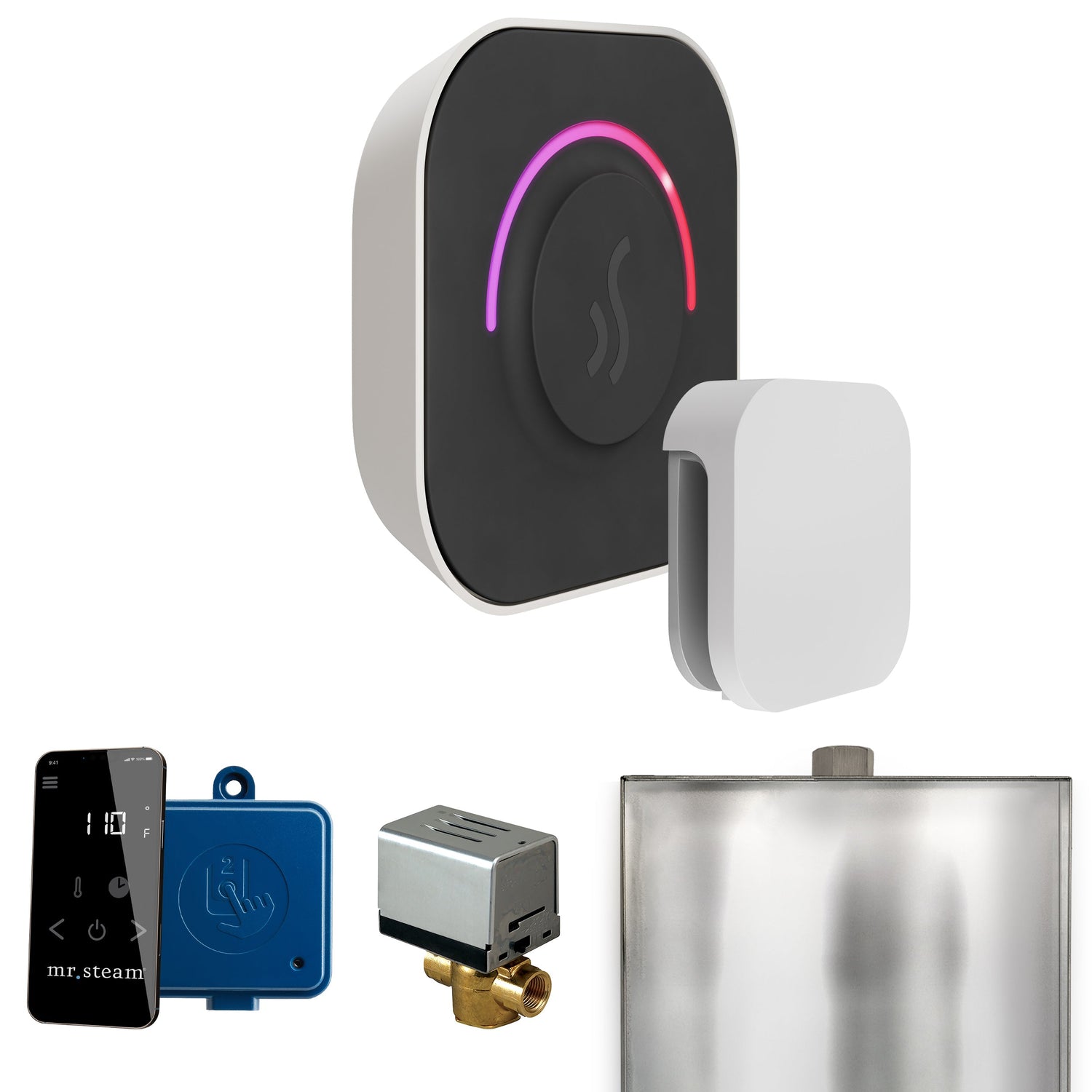 Mr. Steam ButlerTouch Steam Shower Control Package with TempoTouch Control and Steamhead