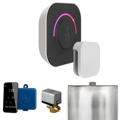 Mr. Steam ButlerTouch Steam Shower Control Package with TempoTouch Control and Steamhead