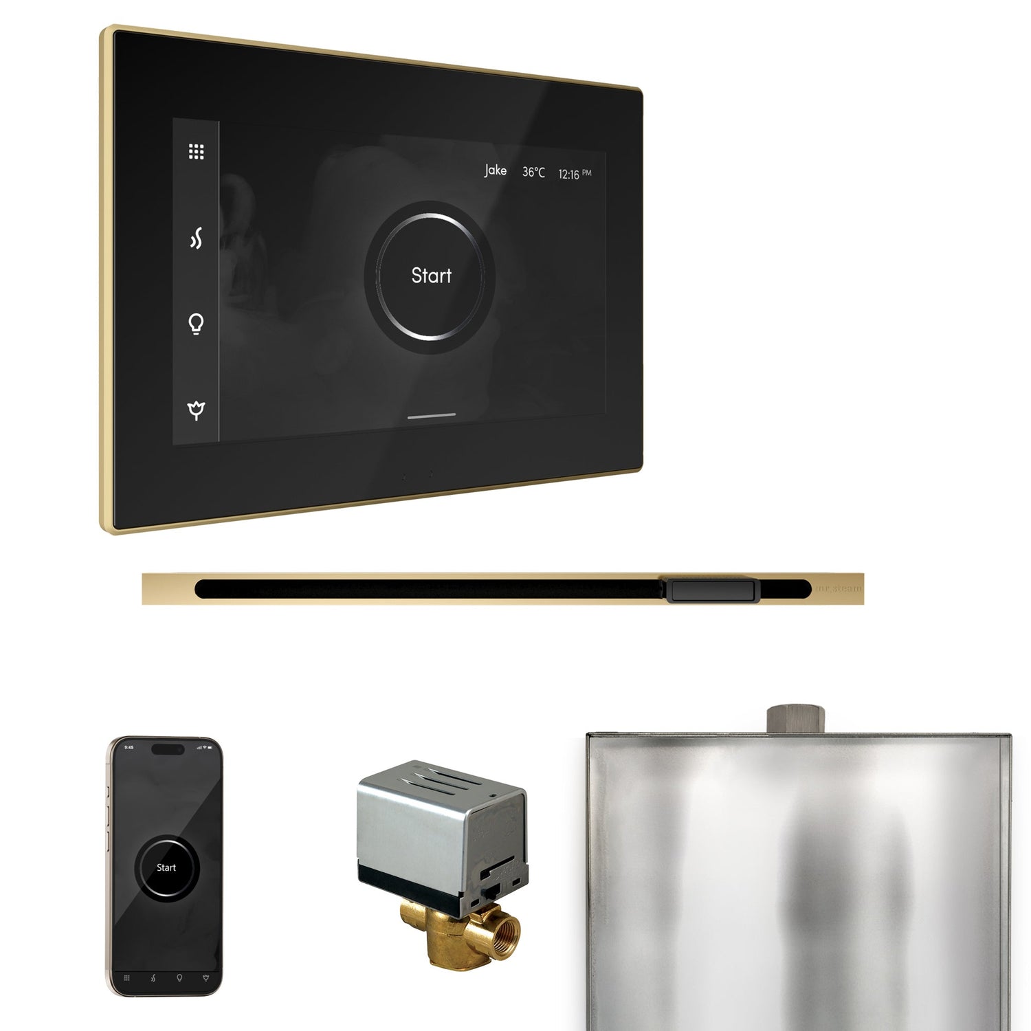 Mr. Steam XButler Steam Shower Control Package with iSteamX Control and Linear Steamhead
