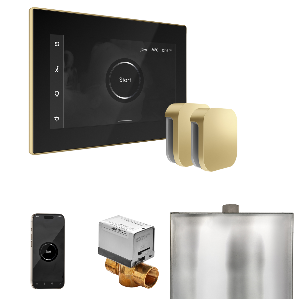 Mr. Steam XButler Max Steam Shower Control Package with iSteamX Control and Steamhead