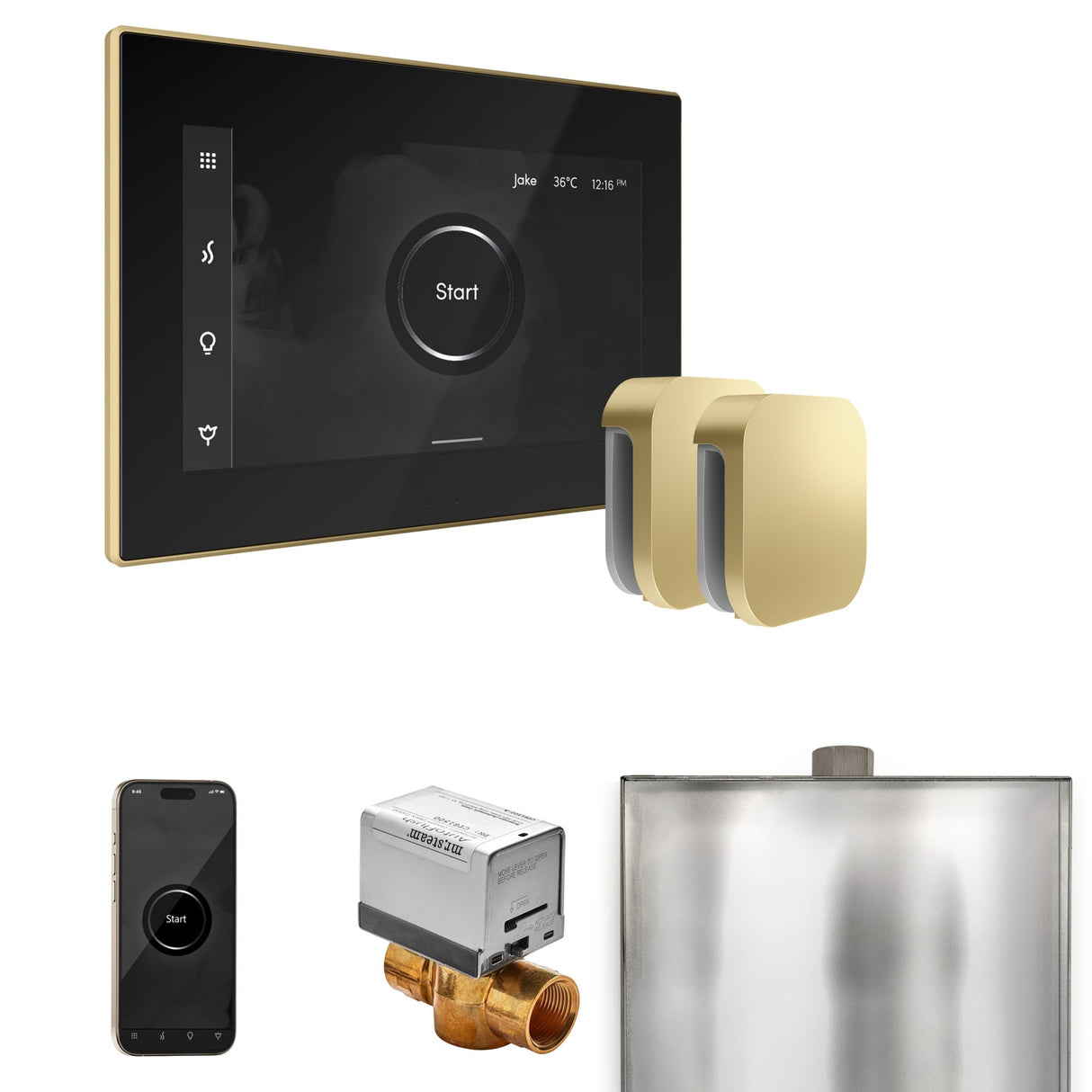 Mr. Steam XButler Max Steam Shower Control Package with iSteamX Control and Steamhead
