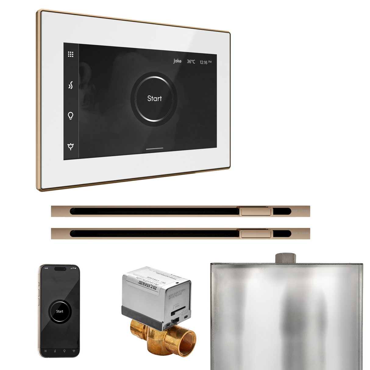 Mr. Steam XButler Max Steam Shower Control Package with iSteamX Control and Linear Steamhead