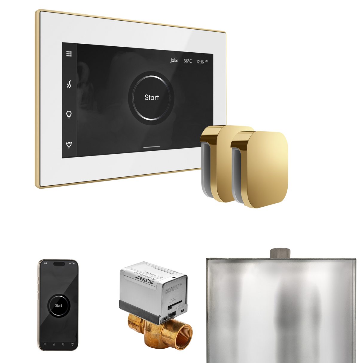 Mr. Steam XButler Max Steam Shower Control Package with iSteamX Control and Steamhead
