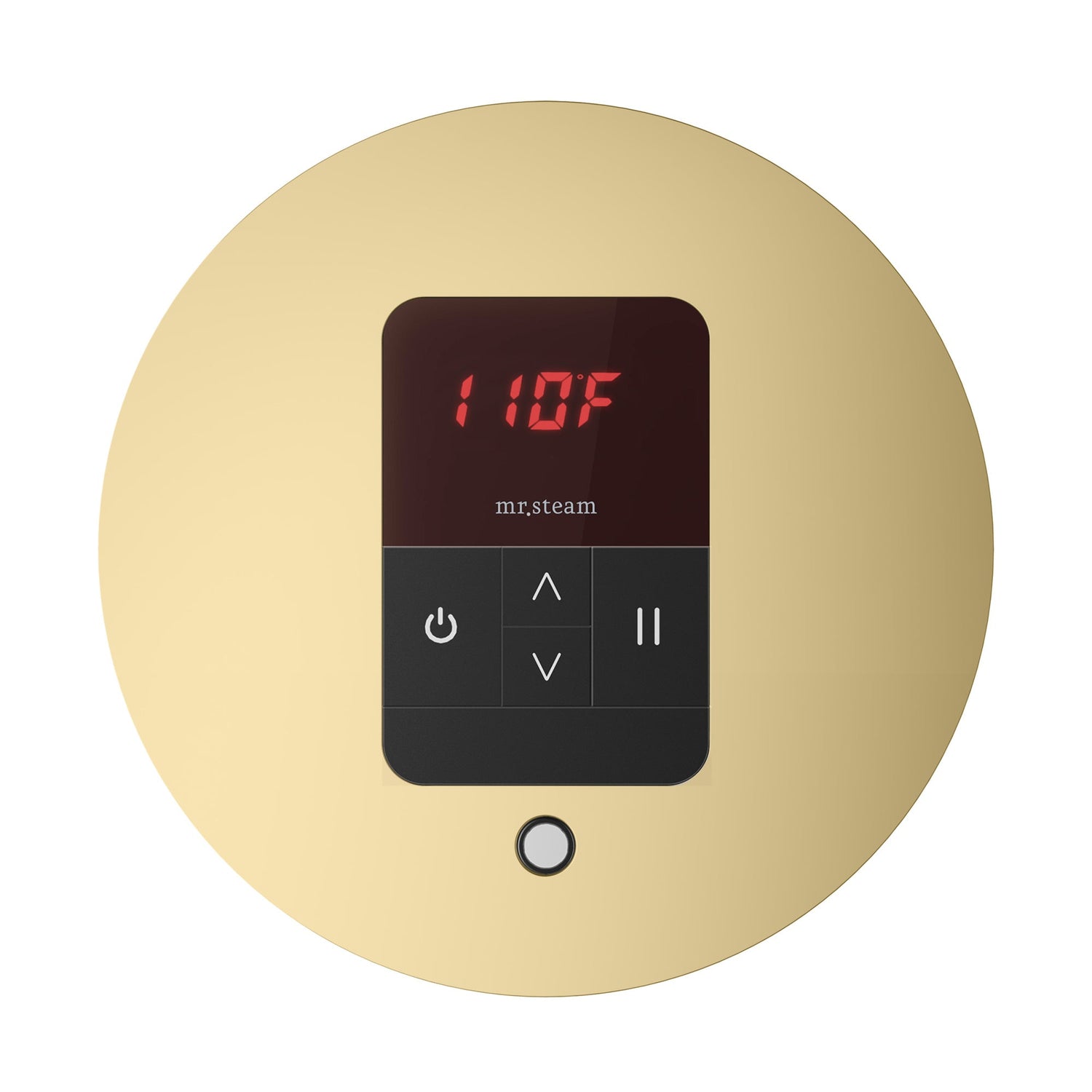 Mr. Steam iTempo Round Steam Shower Control and Steamhead