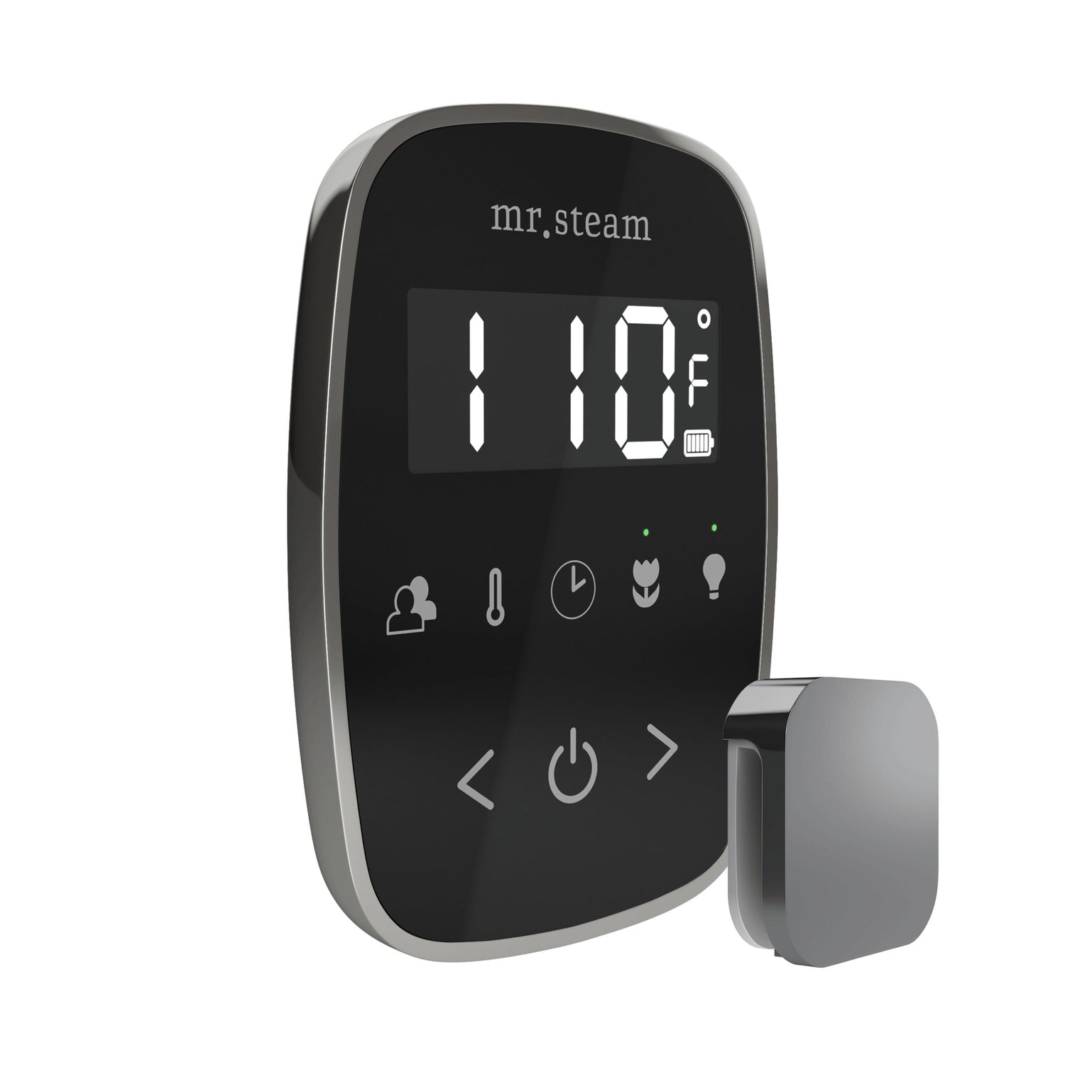 Mr. Steam TempoFlex Steam Shower Control and Steamhead