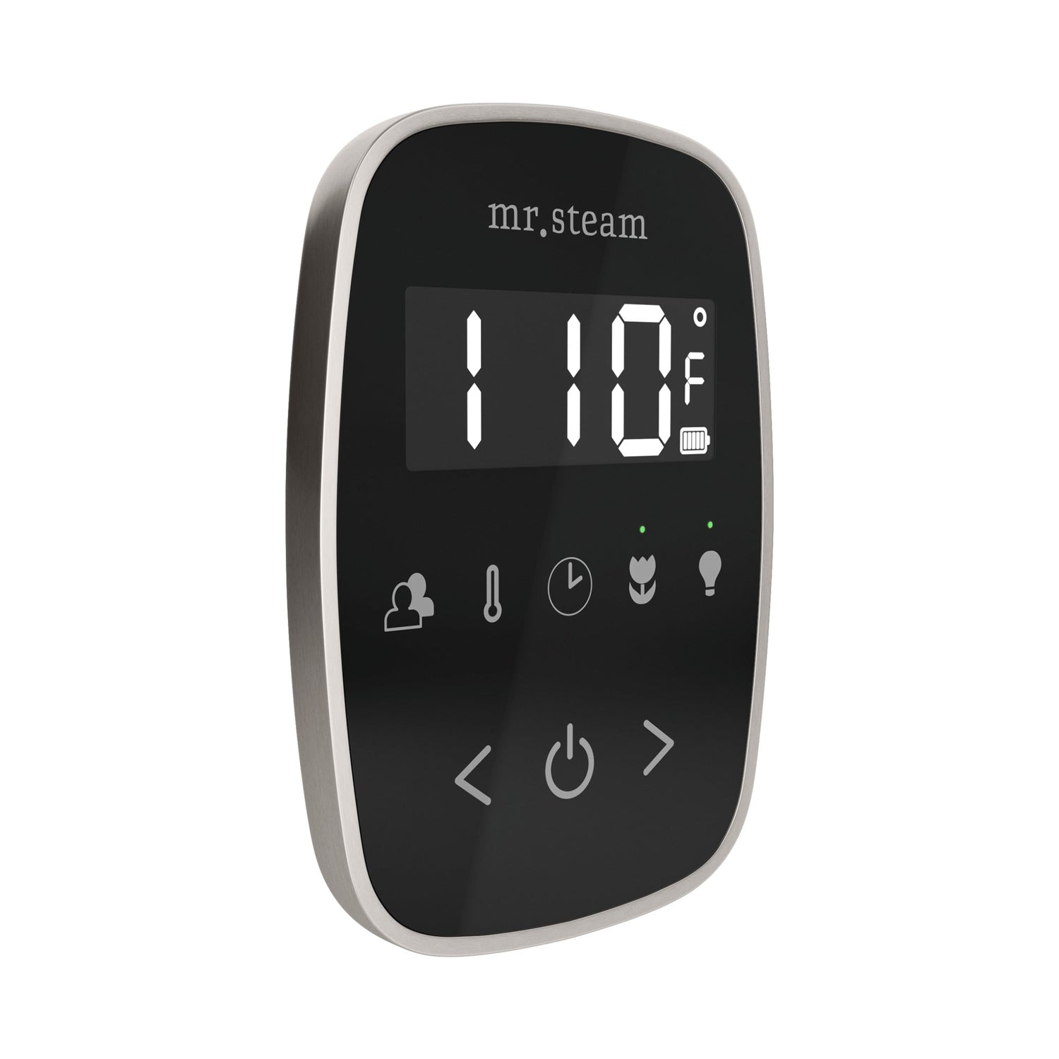 Mr. Steam TempoFlex Steam Shower Control and Steamhead