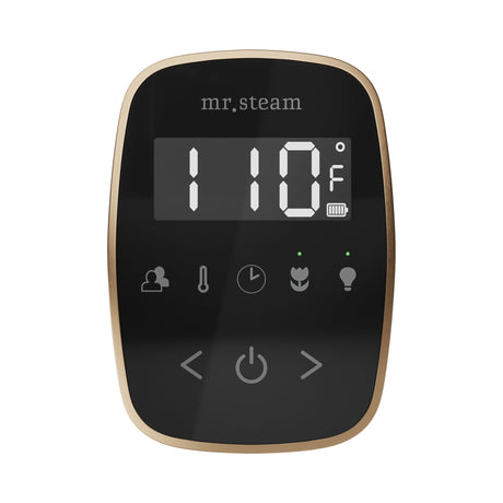 Mr. Steam TempoFlex Steam Shower Control and Steamhead