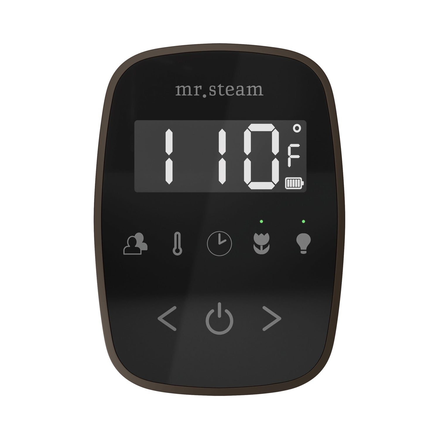 Mr. Steam TempoFlex Steam Shower Control and Steamhead