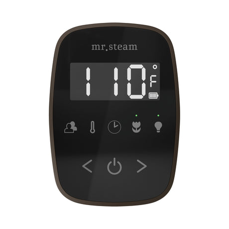 Mr. Steam TempoFlex Steam Shower Control and Steamhead