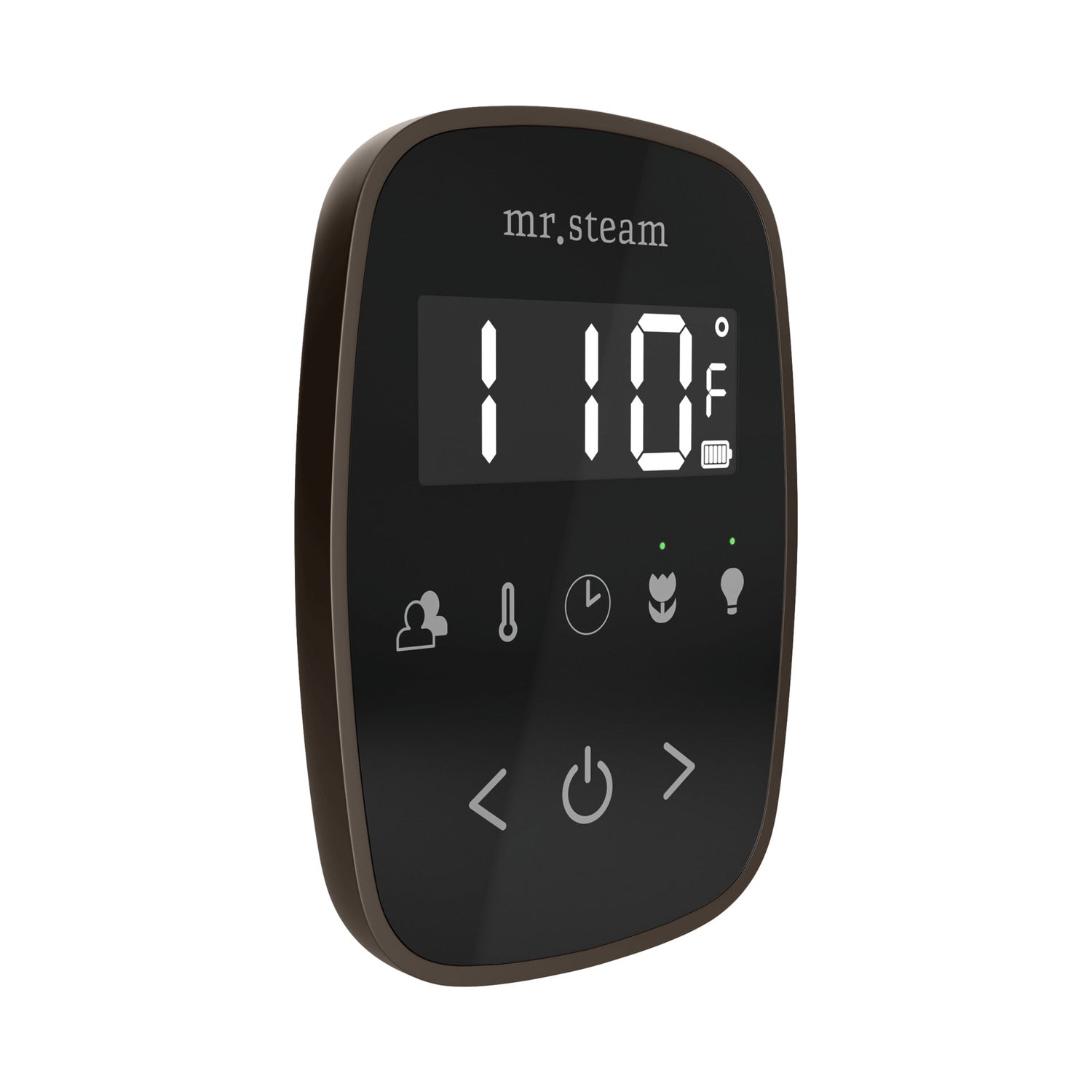 Mr. Steam TempoFlex Steam Shower Control and Steamhead