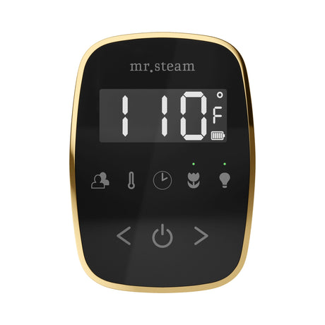 Mr. Steam TempoFlex Steam Shower Control and Steamhead