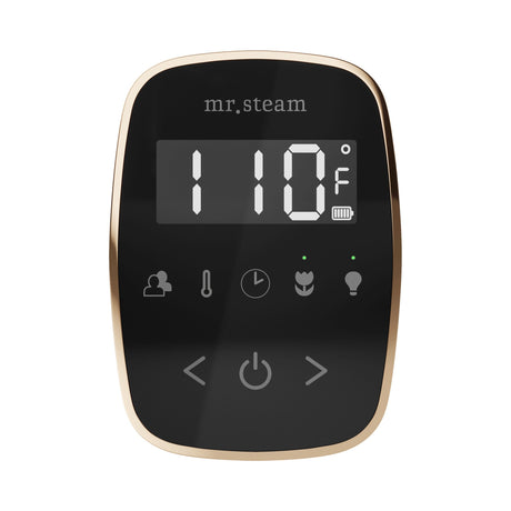 Mr. Steam TempoFlex Steam Shower Control and Steamhead