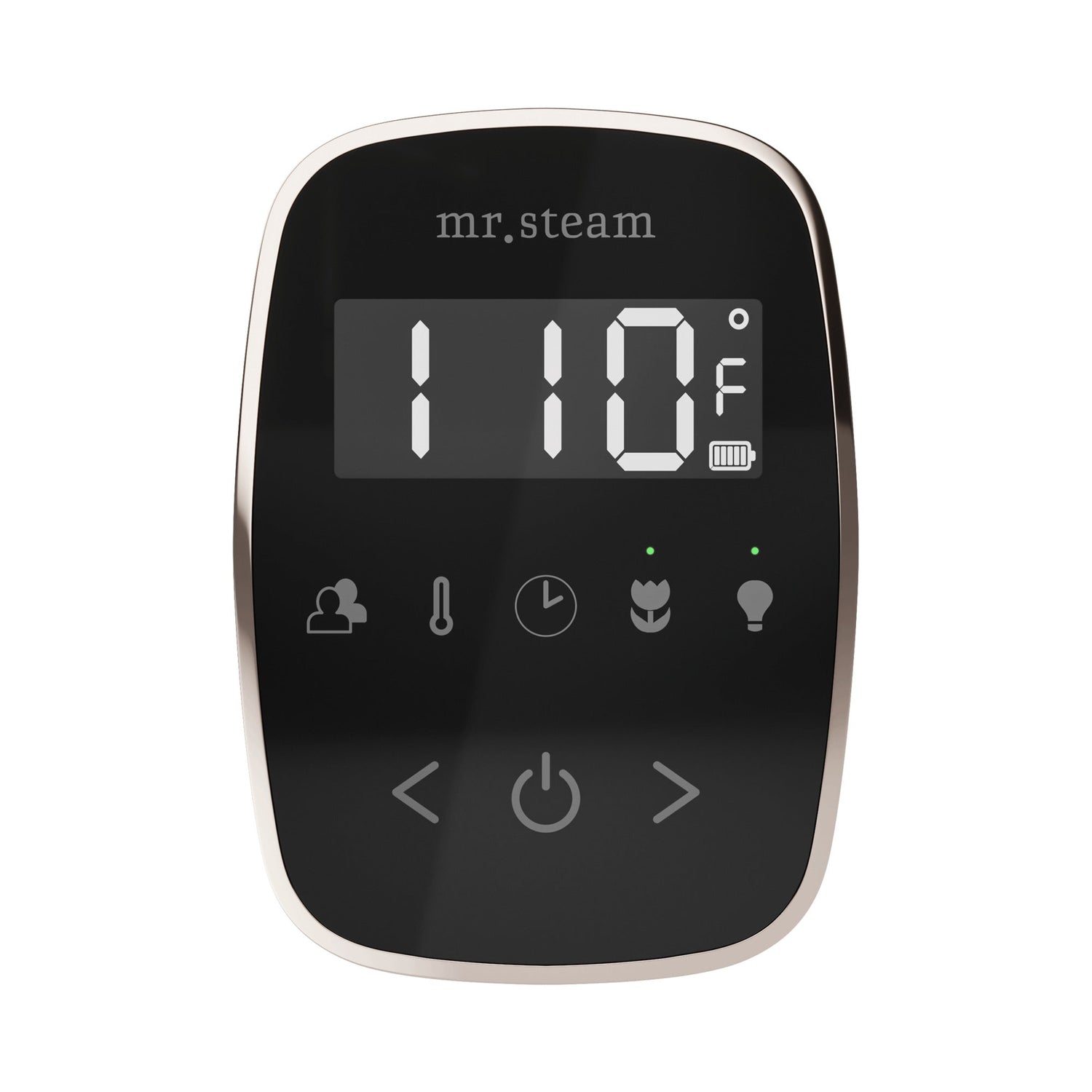 Mr. Steam TempoFlex Steam Shower Control and Steamhead