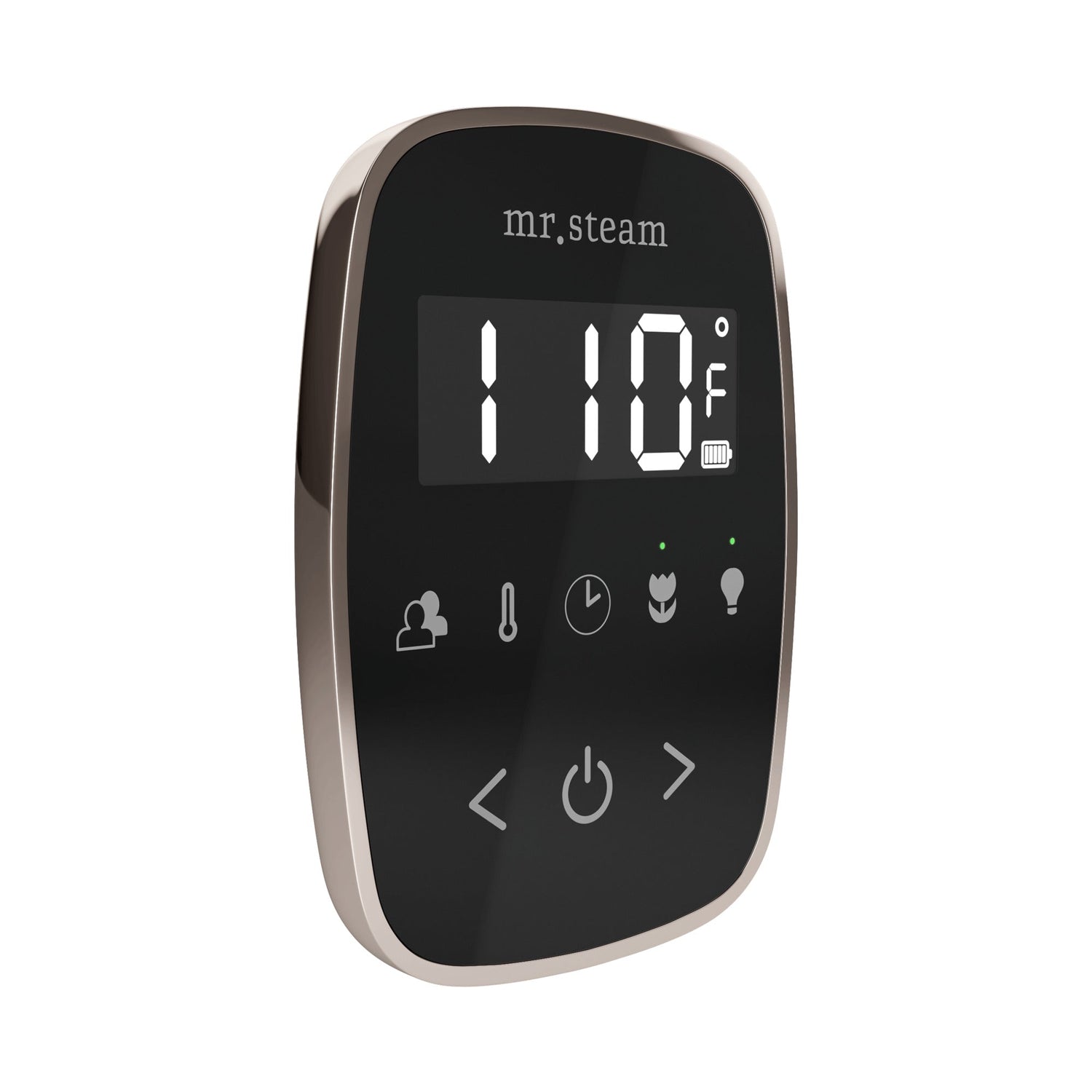 Mr. Steam TempoFlex Steam Shower Control and Steamhead