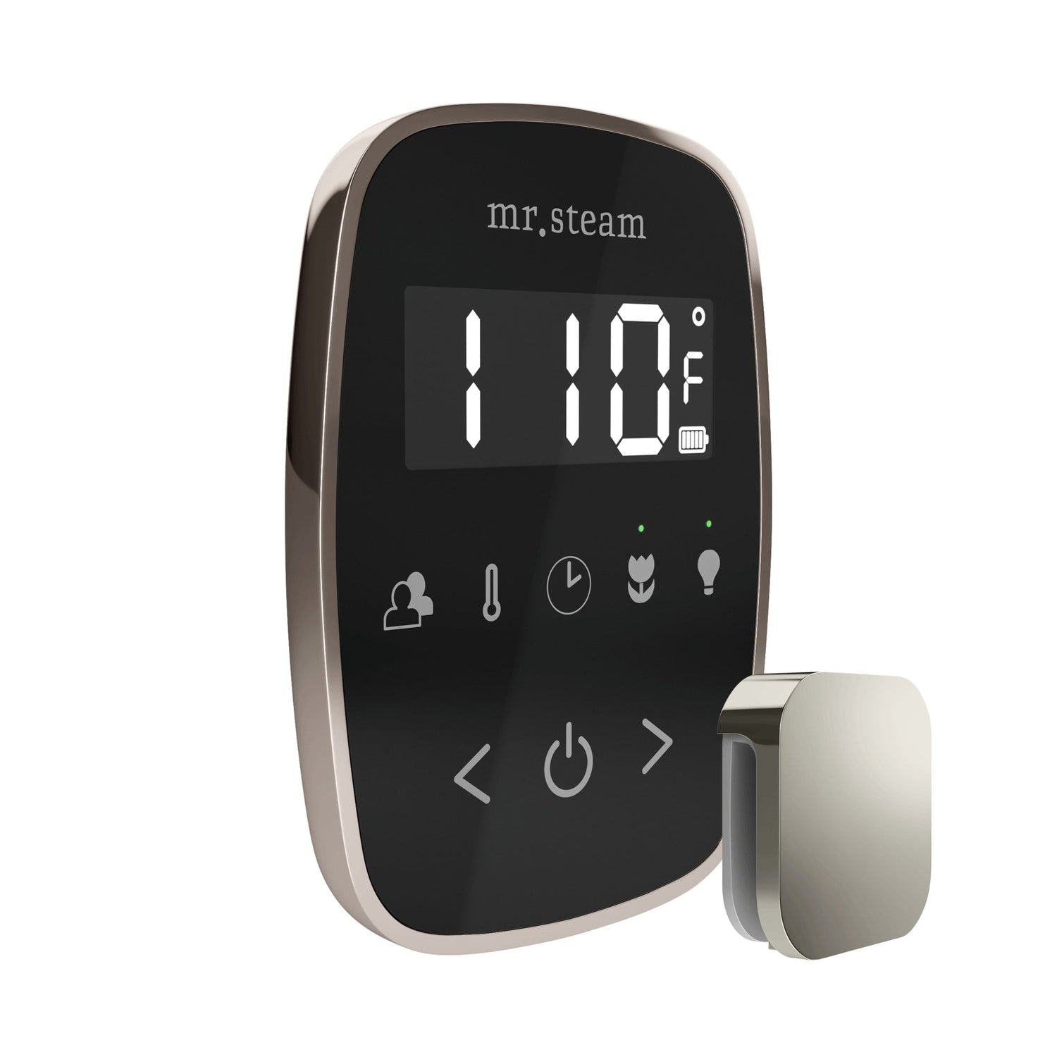 Mr. Steam TempoFlex Steam Shower Control and Steamhead