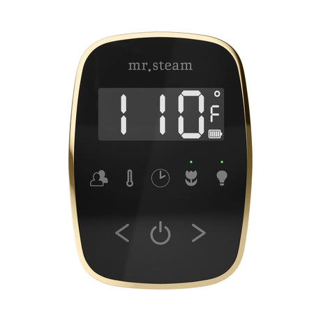 Mr. Steam TempoFlex Steam Shower Control and Steamhead