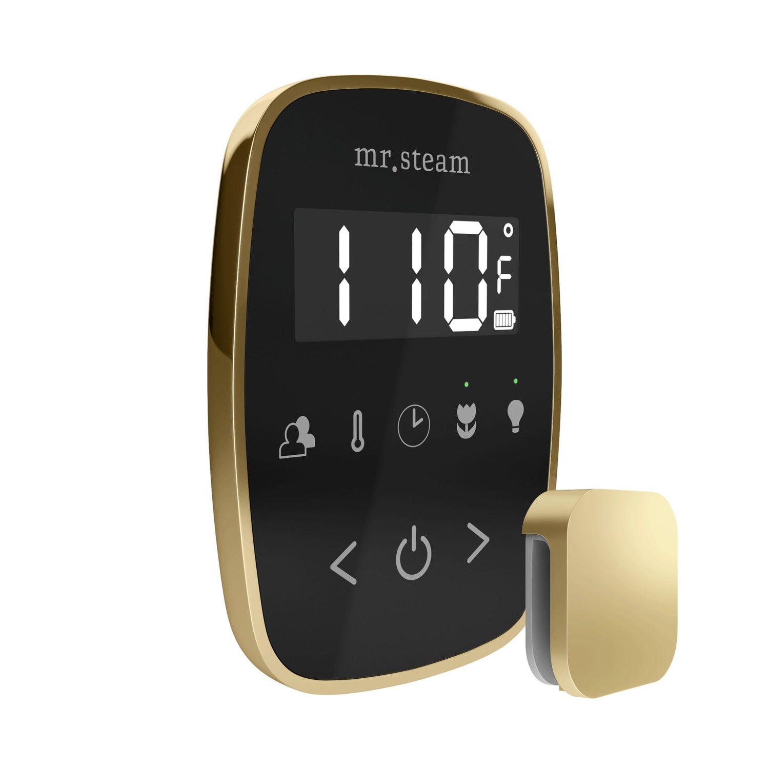 Mr. Steam TempoFlex Steam Shower Control and Steamhead