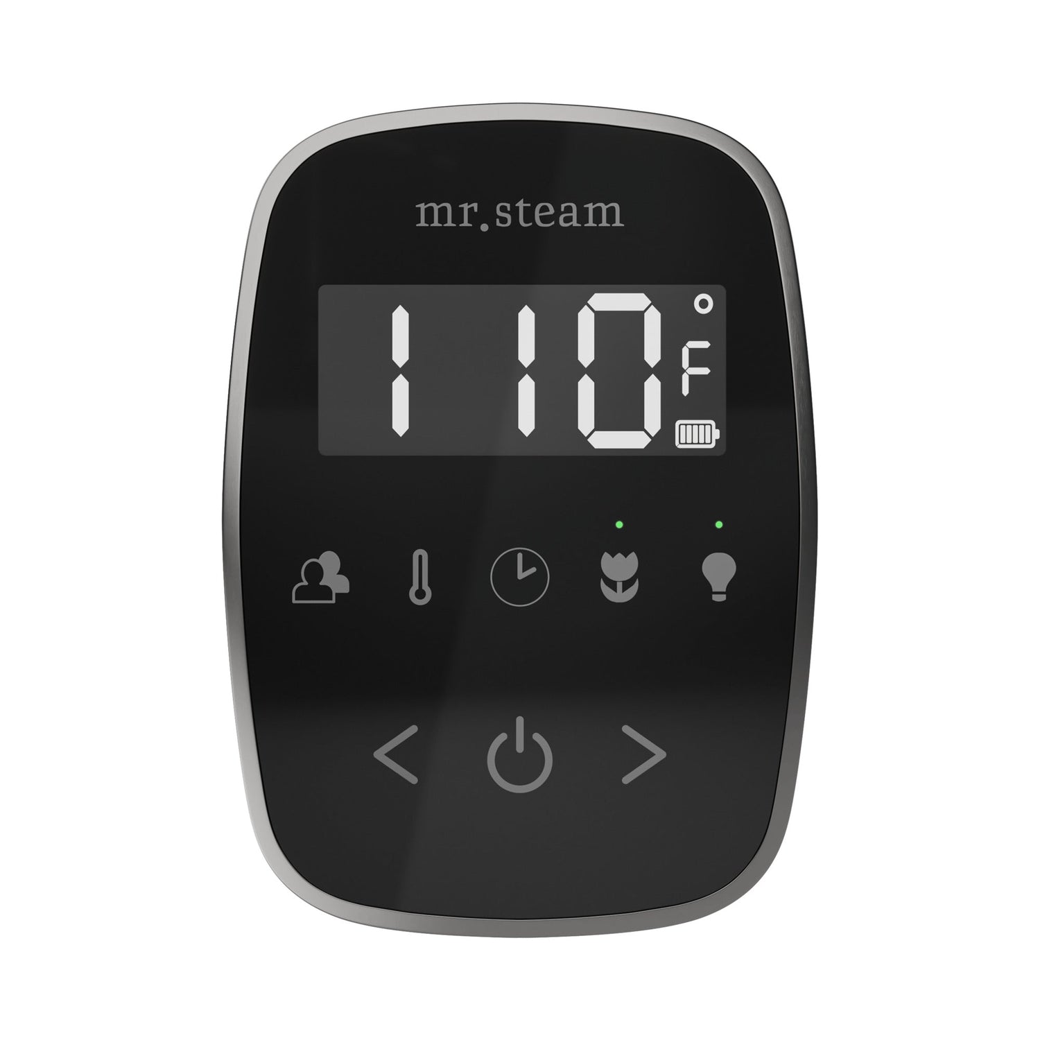 Mr. Steam TempoFlex Steam Shower Control and Steamhead