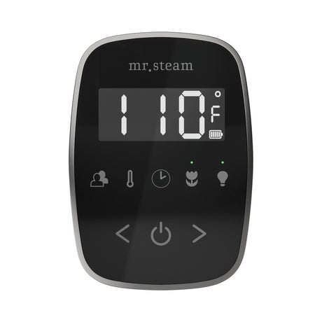 Mr. Steam TempoFlex Steam Shower Control and Steamhead