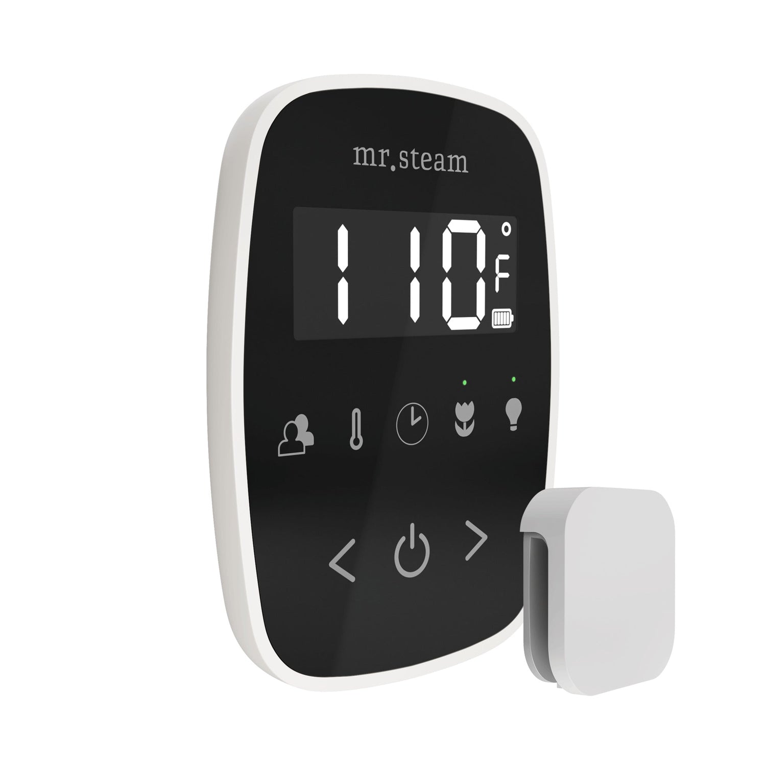 Mr. Steam TempoFlex Steam Shower Control and Steamhead