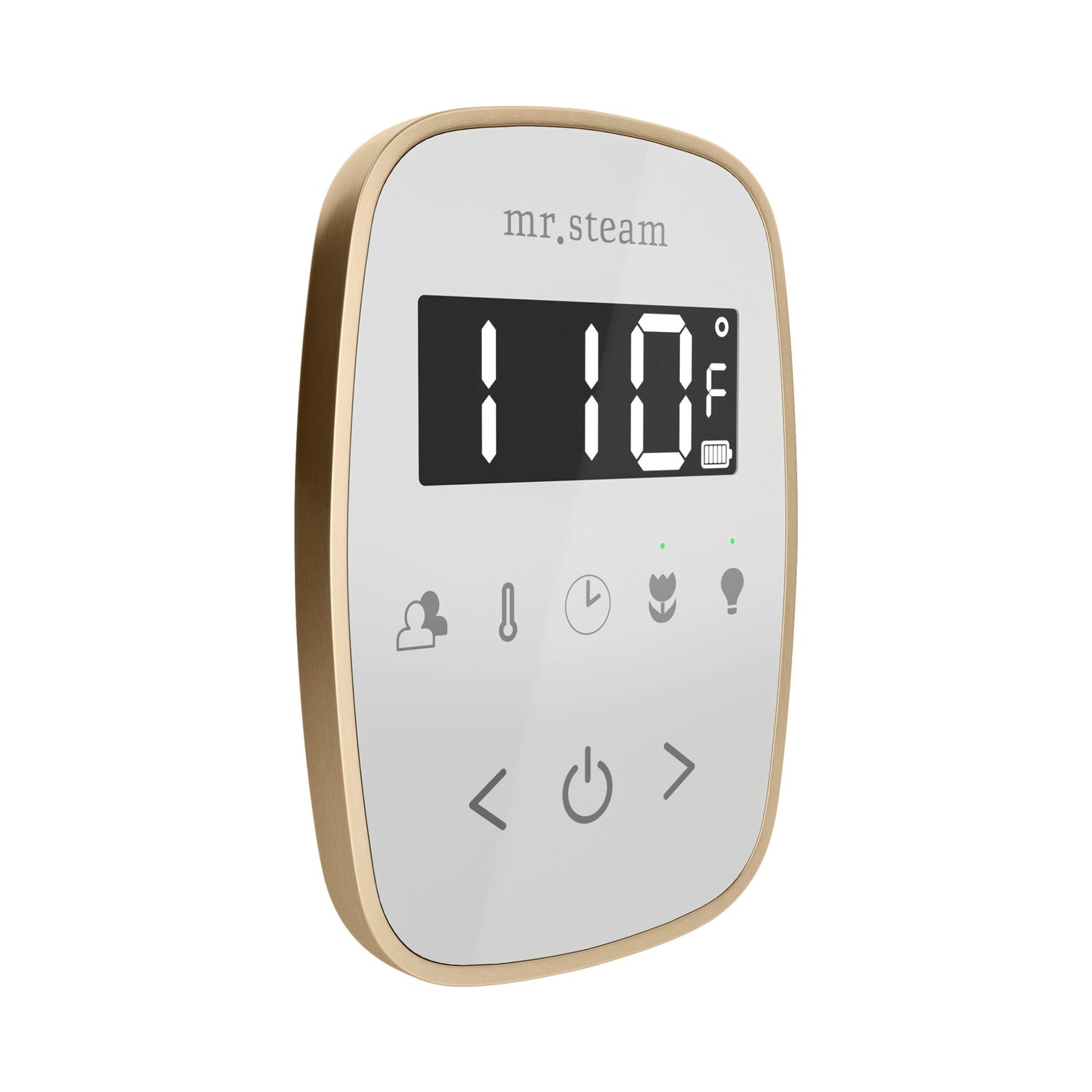 Mr. Steam TempoFlex Steam Shower Control and Steamhead
