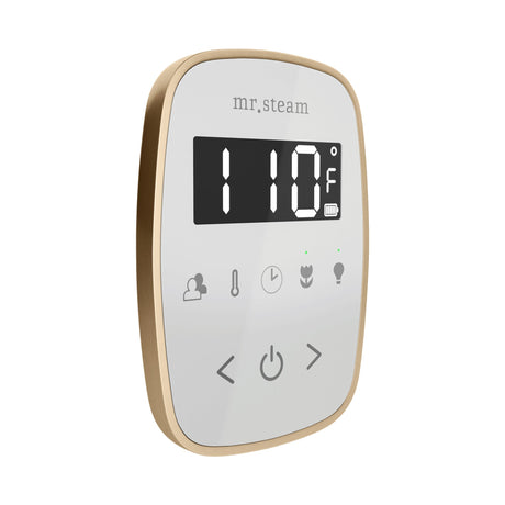 Mr. Steam TempoFlex Steam Shower Control and Steamhead