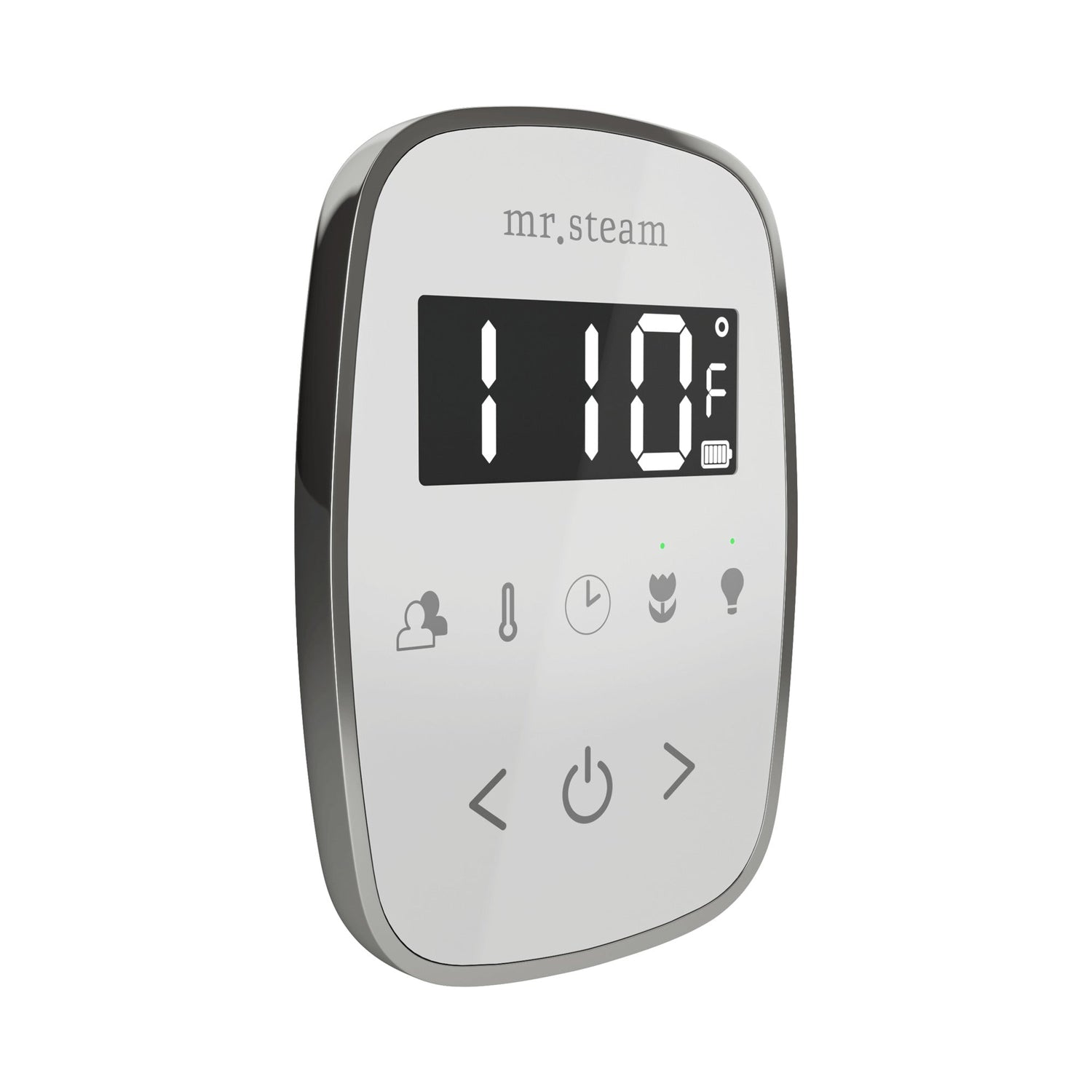 Mr. Steam TempoFlex Steam Shower Control and Steamhead