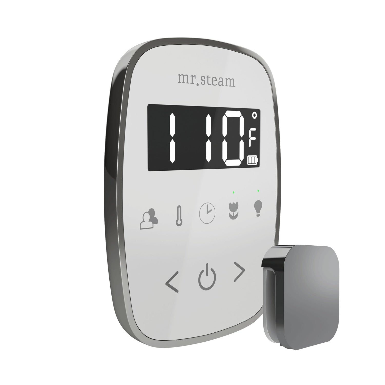 Mr. Steam TempoFlex Steam Shower Control and Steamhead