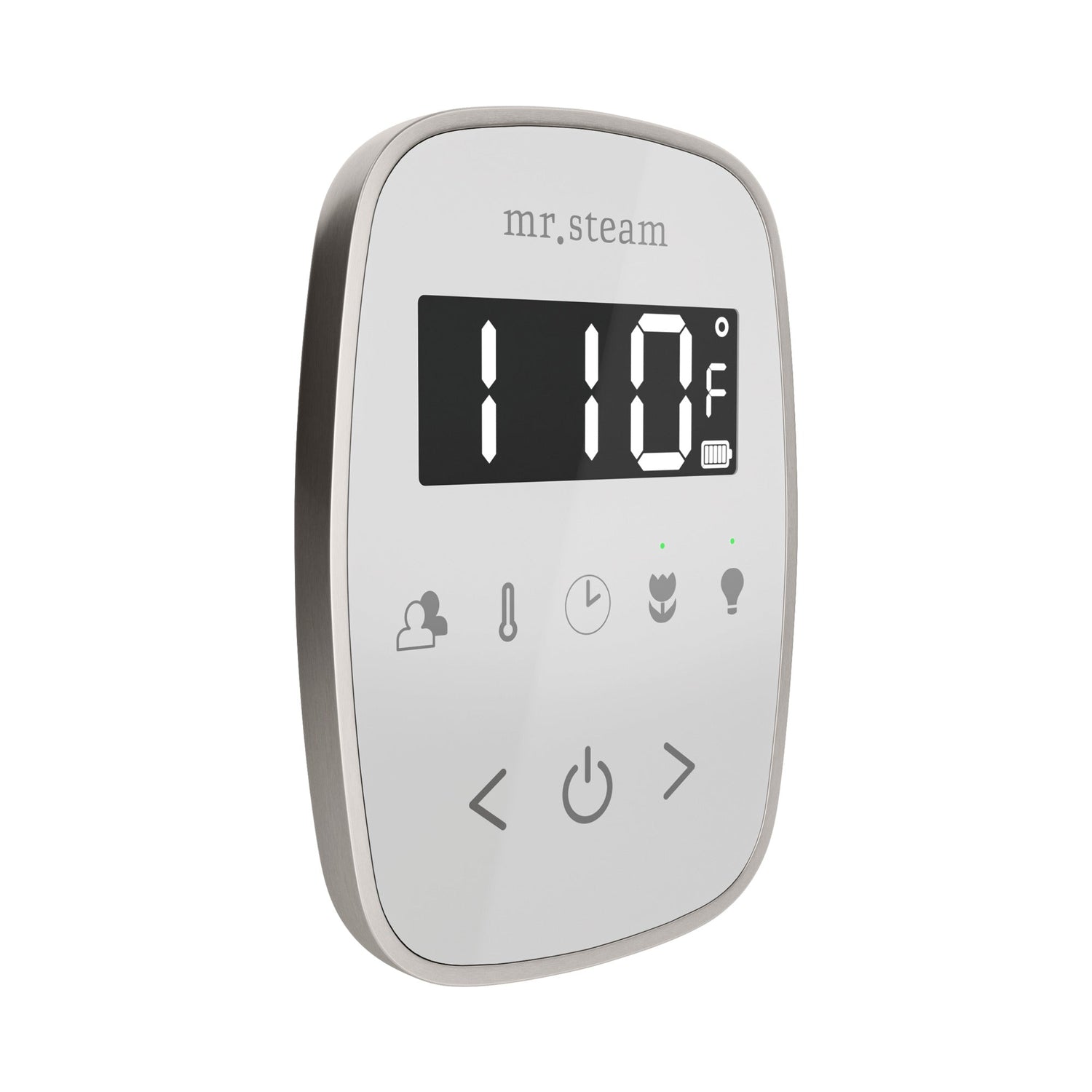 Mr. Steam TempoFlex Steam Shower Control and Steamhead