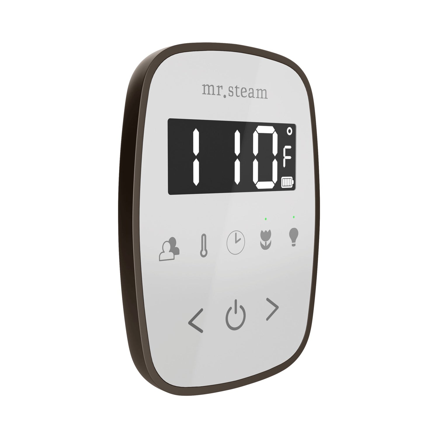 Mr. Steam TempoFlex Steam Shower Control and Steamhead